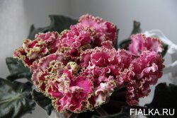НД-Азарина, детка