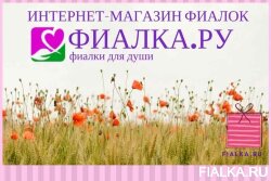 РС-Тамада